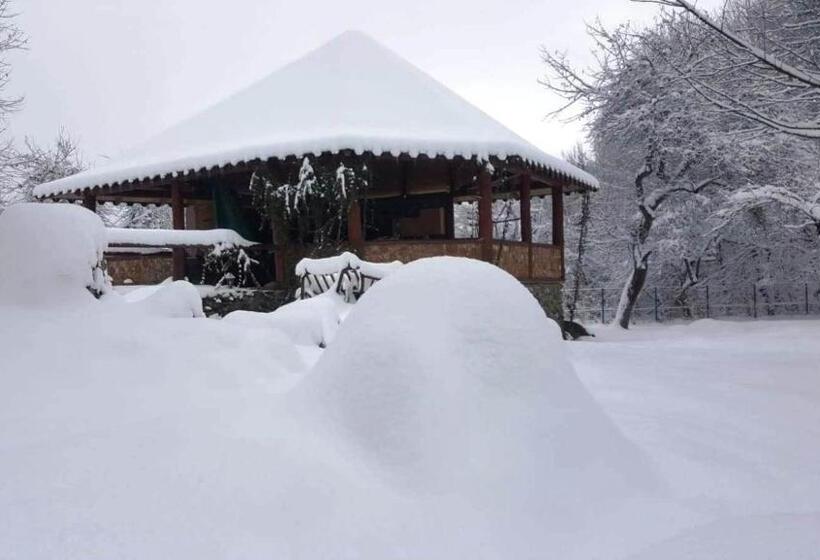 فندق Casa Bunicului