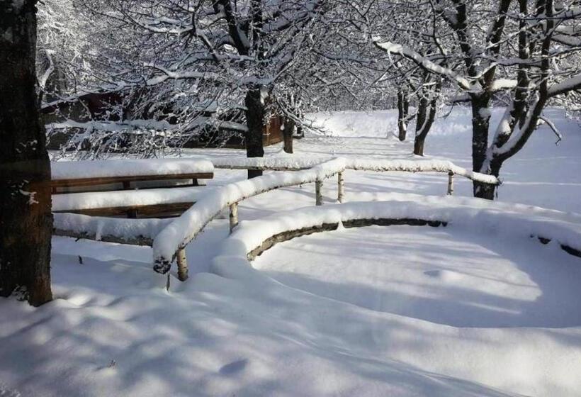 فندق Casa Bunicului