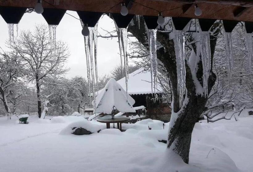 فندق Casa Bunicului