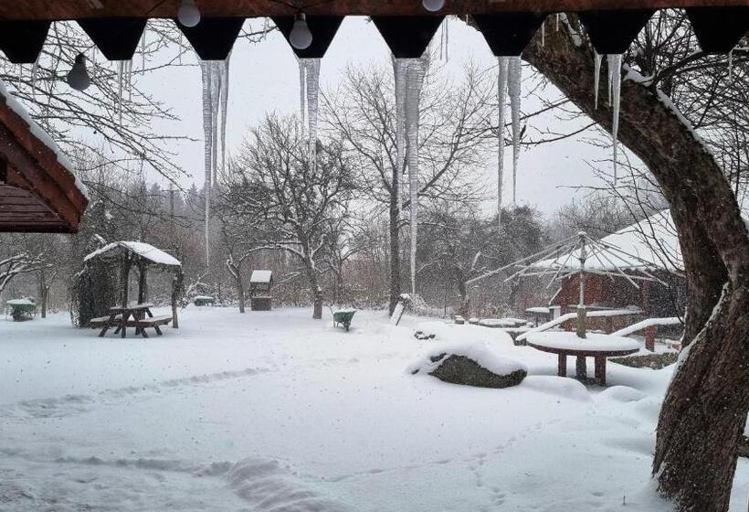 فندق Casa Bunicului