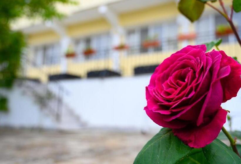 酒店 Effect Saint Mina