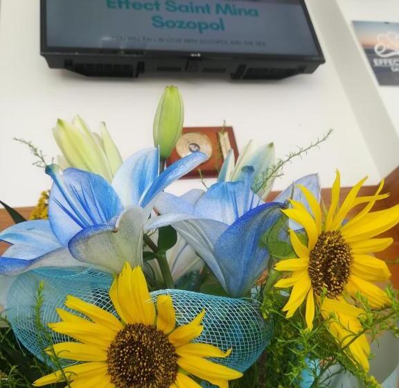 酒店 Effect Saint Mina