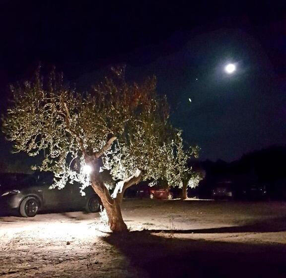 פנסיון Lu Salentu Guest House