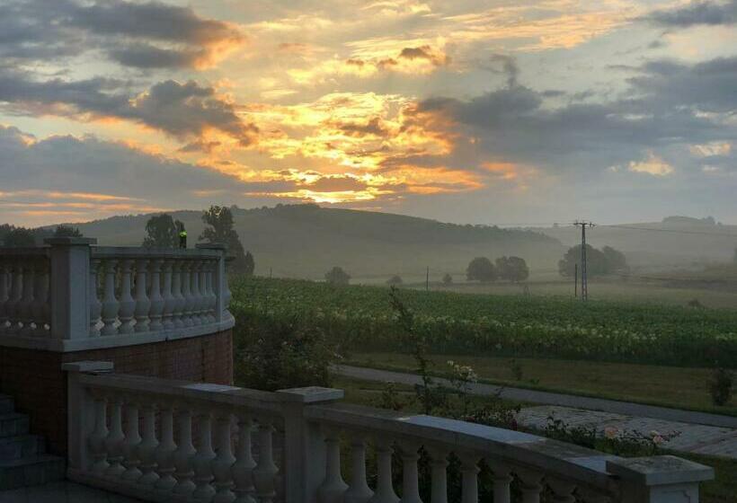 פנסיון Sáppusztai Vendégház