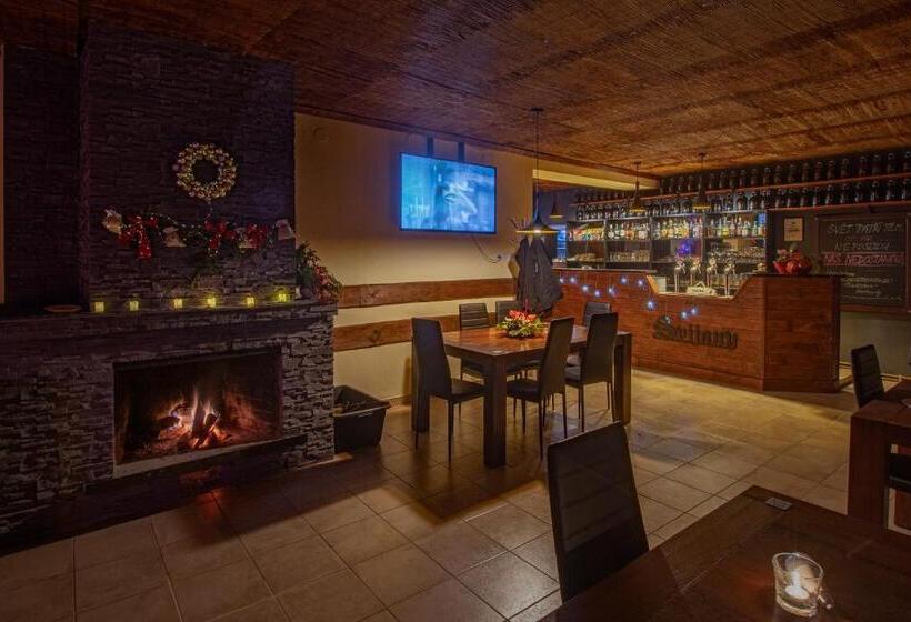 ペンション Wellness Penzion Triola