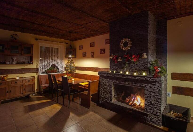 ペンション Wellness Penzion Triola