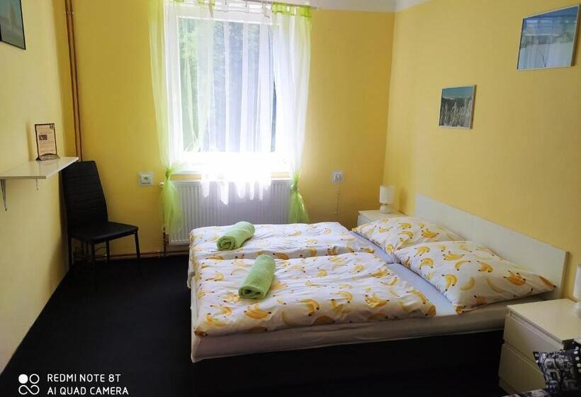 ペンション Wellness Penzion Triola