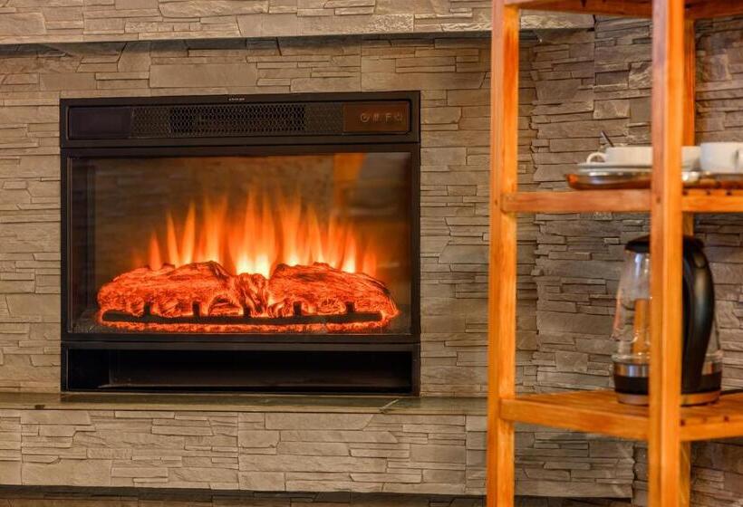 ペンション Wellness Penzion Triola