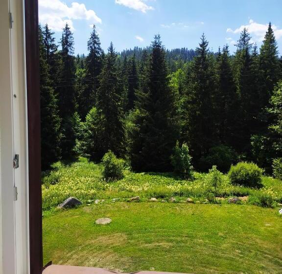 ペンション Wellness Penzion Triola