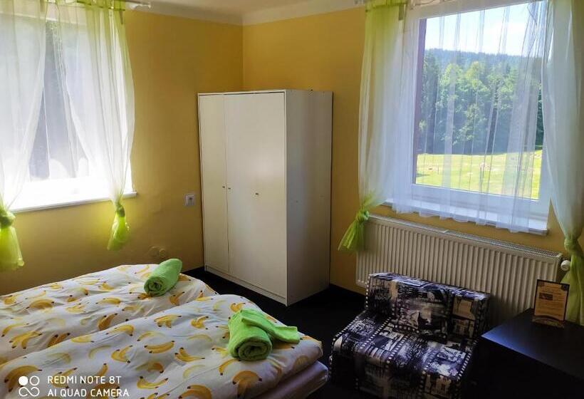 ペンション Wellness Penzion Triola