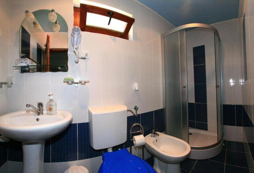 Pensiunea Leia Cârțișoara