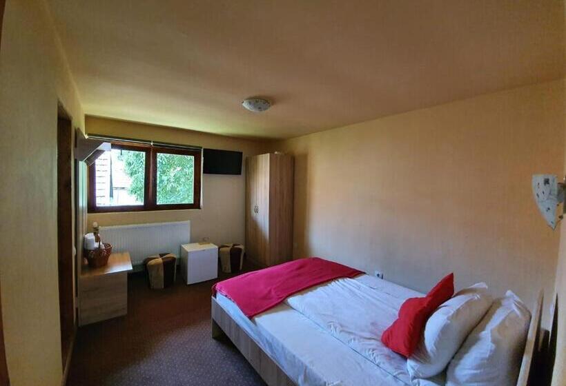 Pensiunea Leia Cârțișoara