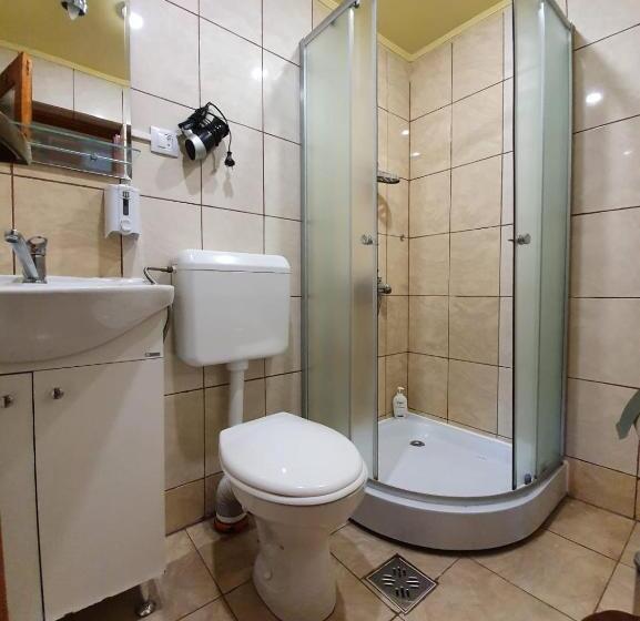 Pensiunea Leia Cârțișoara