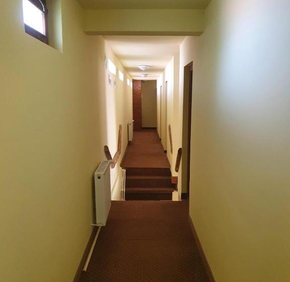 Pensiunea Leia Cârțișoara