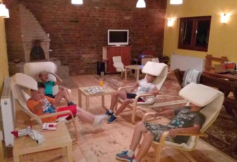 Pensiunea Leia Cârțișoara