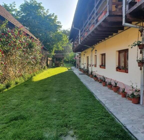 Pensiunea Leia Cârțișoara