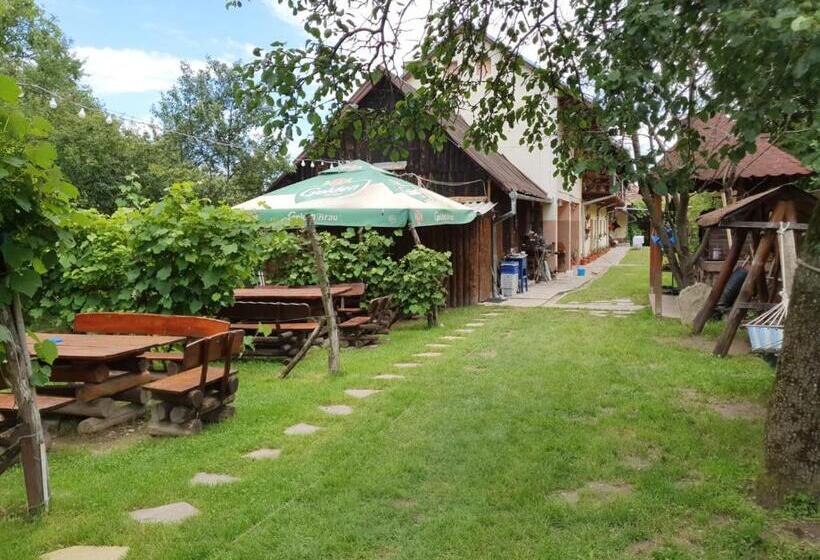 Pensiunea Leia Cârțișoara