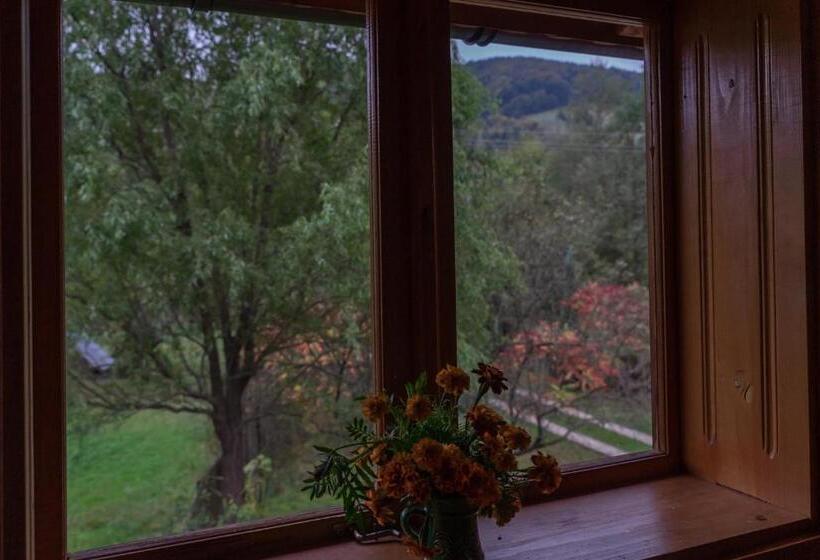 Pensiunea Poiana De Vis