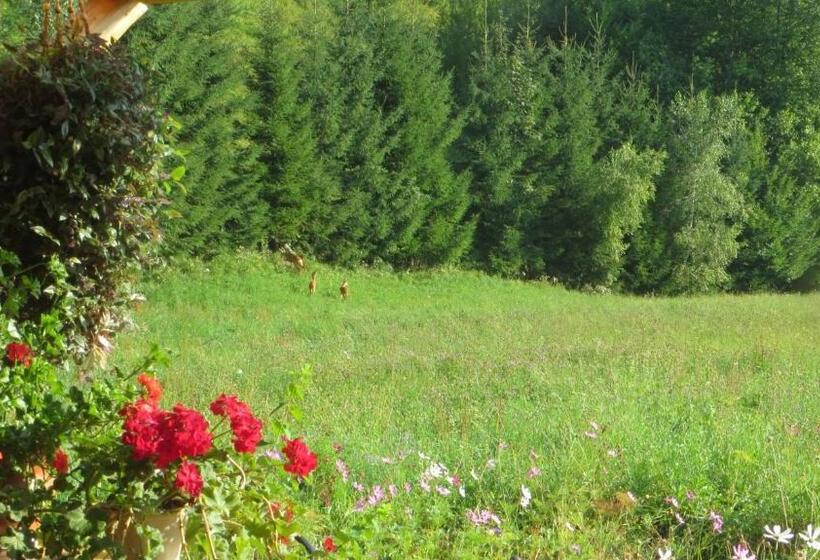 Pensiunea Poiana De Vis