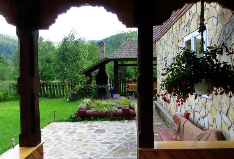 Pensiunea Poiana De Vis