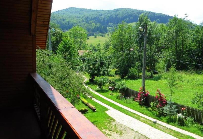 Pensiunea Poiana De Vis