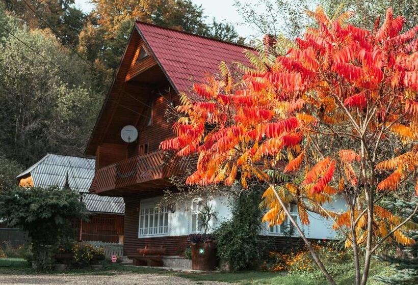 Pensiunea Poiana De Vis