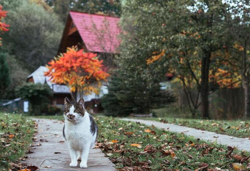 Pensiunea Poiana De Vis