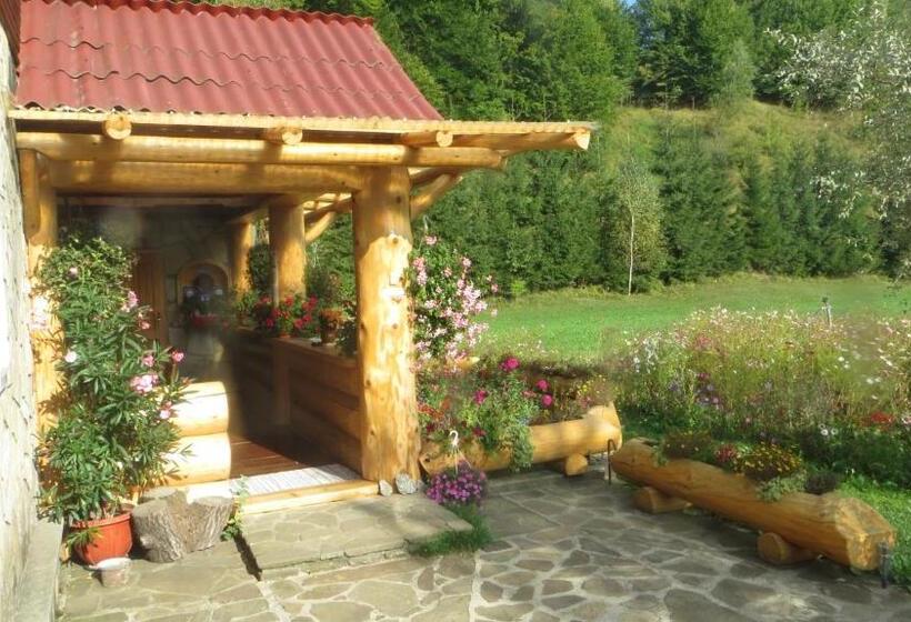 Pensiunea Poiana De Vis