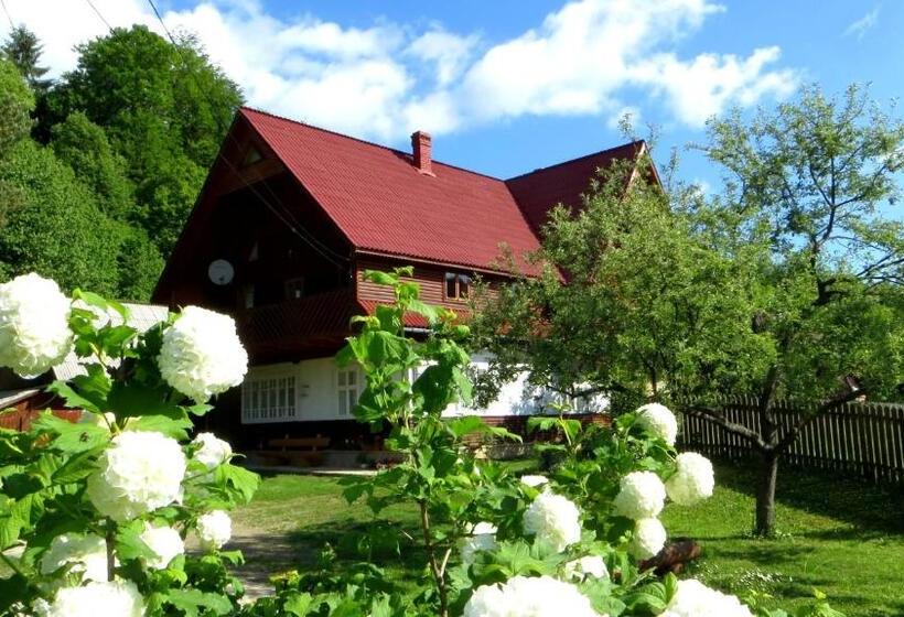 Pensiunea Poiana De Vis