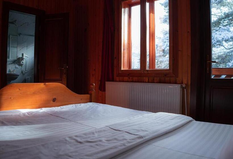 Pensiunea Poiana De Vis