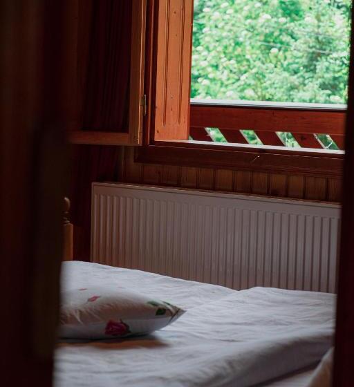 Pensiunea Poiana De Vis