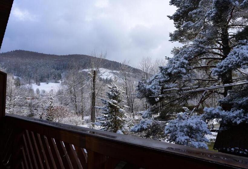 Pensiunea Poiana De Vis