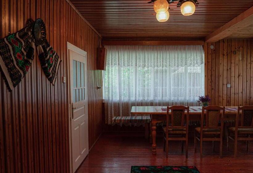 Pensiunea Poiana De Vis