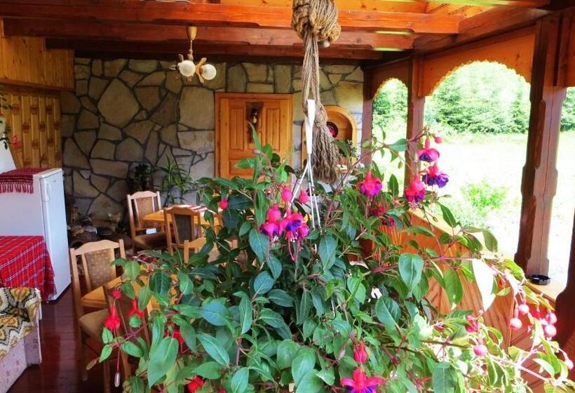 Pensiunea Poiana De Vis