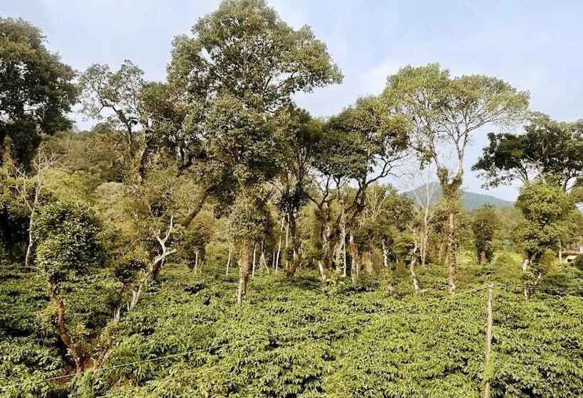 استراحتگاه Wanders In Travel Company