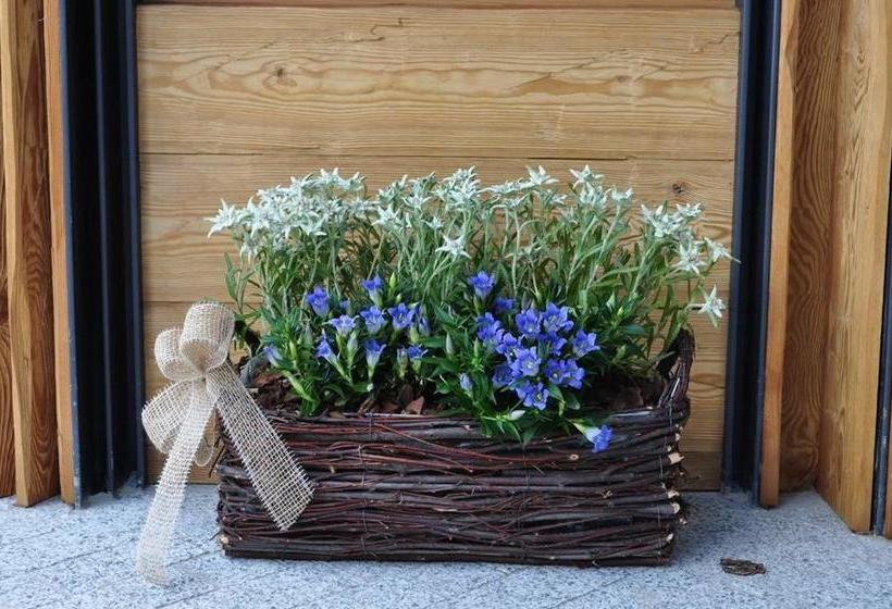 فندق Chalet Prà Delle Nasse