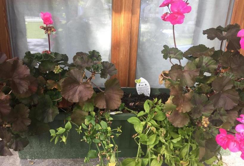 فندق Chalet Prà Delle Nasse