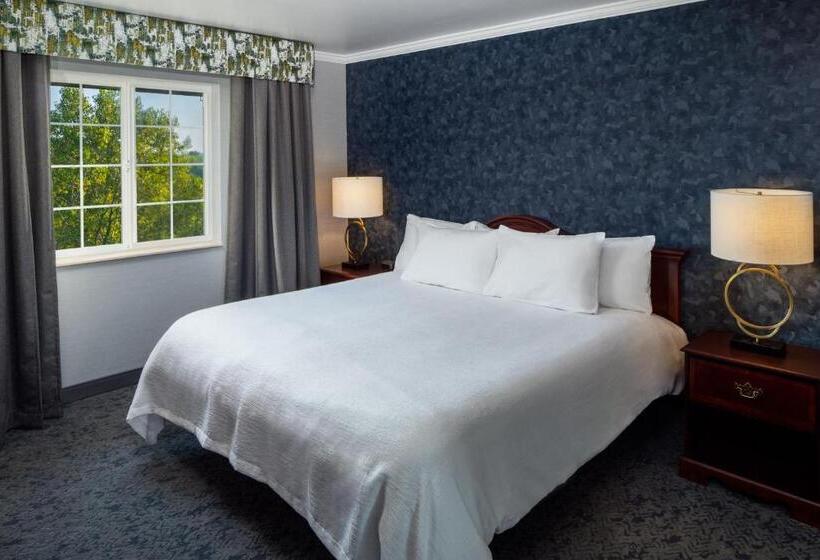 酒店 Irish Cottage Inn & Suites