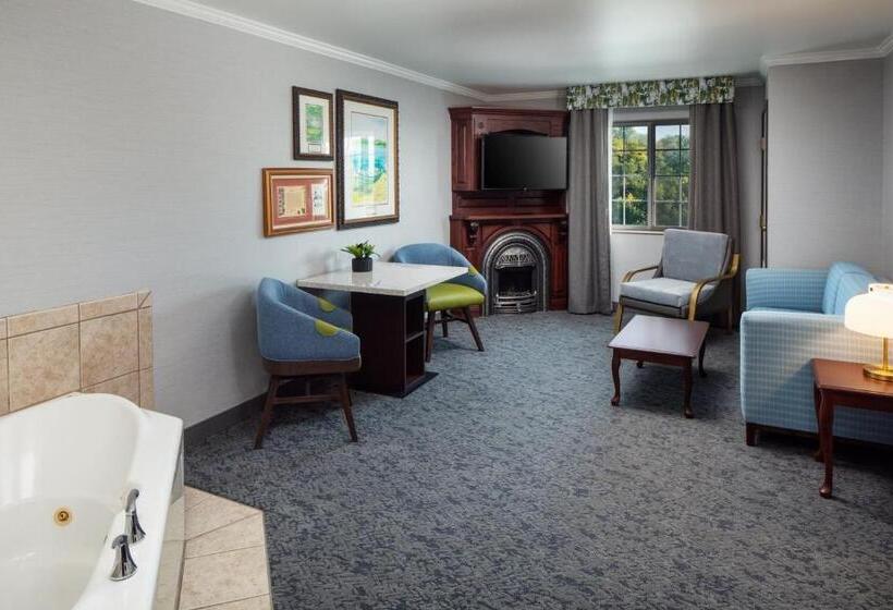 酒店 Irish Cottage Inn & Suites