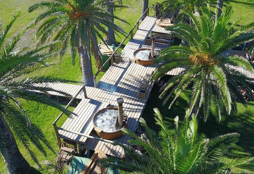 فندق Parque Oceánico