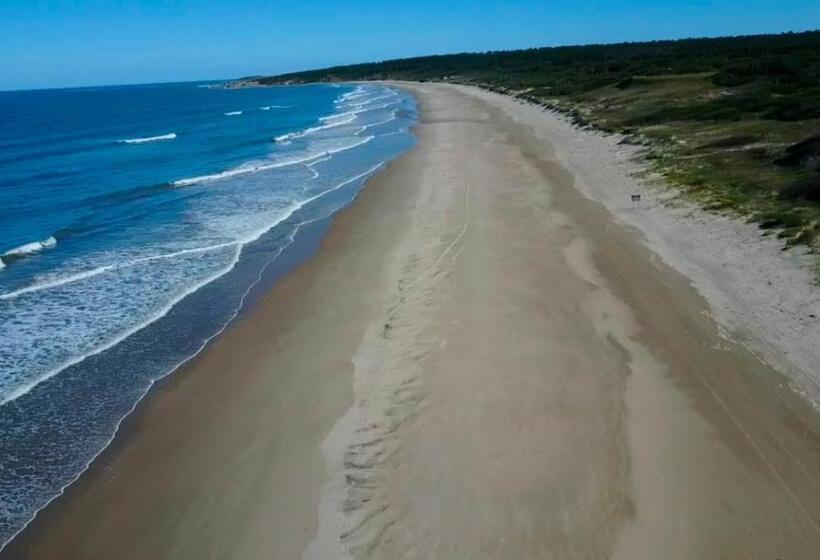 فندق Parque Oceánico