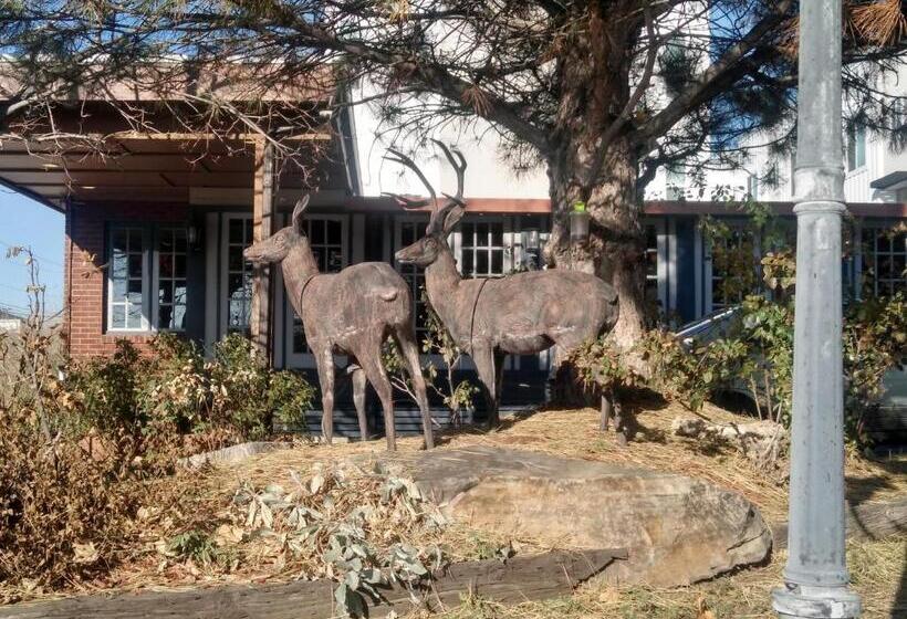 فندق على الطريق The Charin Inn