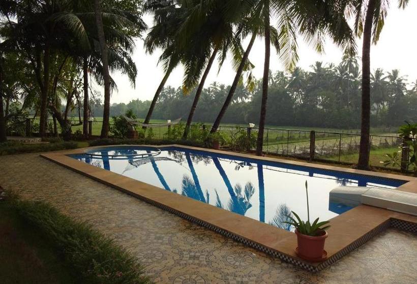 膳宿费 Palm Shades Spring