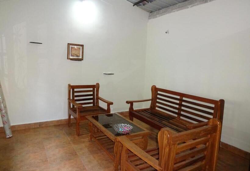 膳宿费 Palm Shades Spring