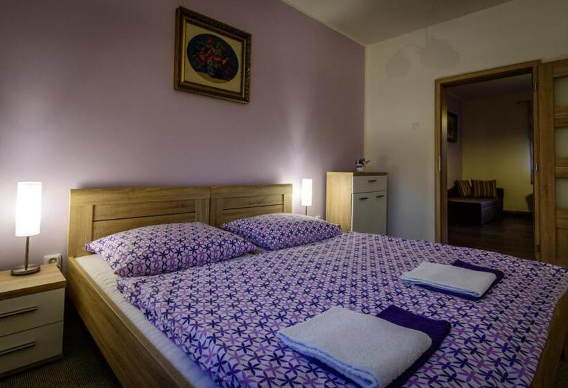 Пансион Penzion Sina