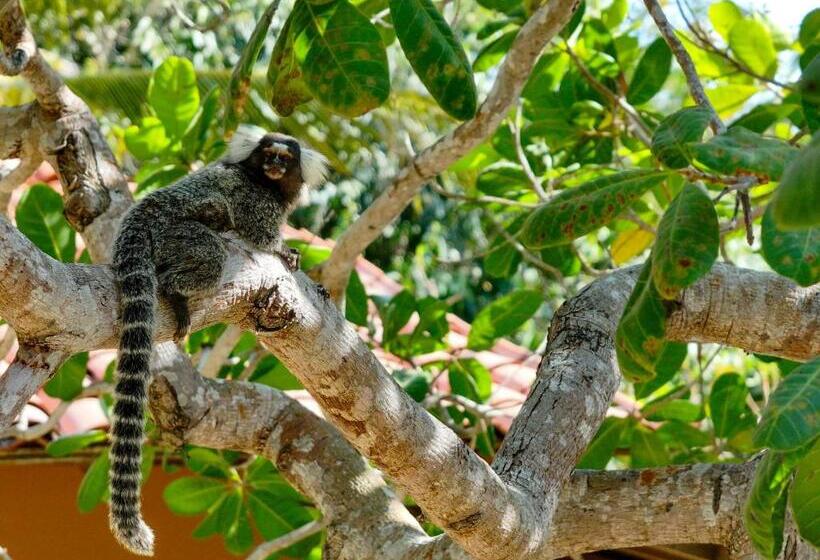 膳宿费 Pousada Portal Do Vento