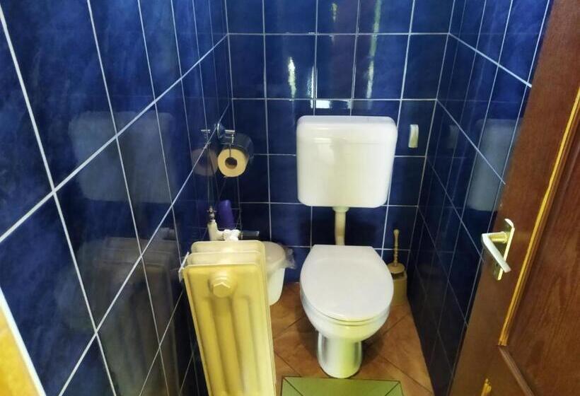 פנסיון Szakál Vendégház