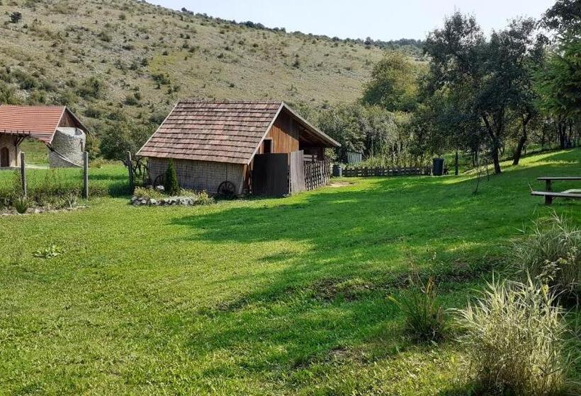 פנסיון Szakál Vendégház