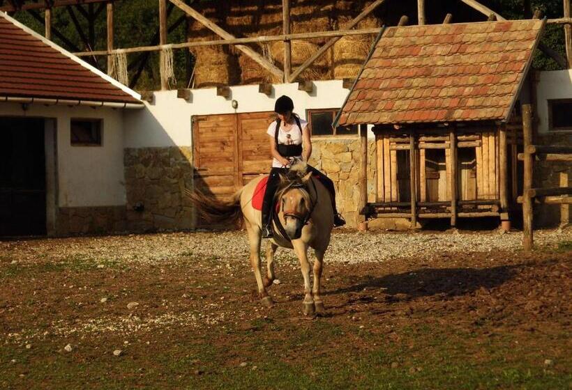 פנסיון Szakál Vendégház