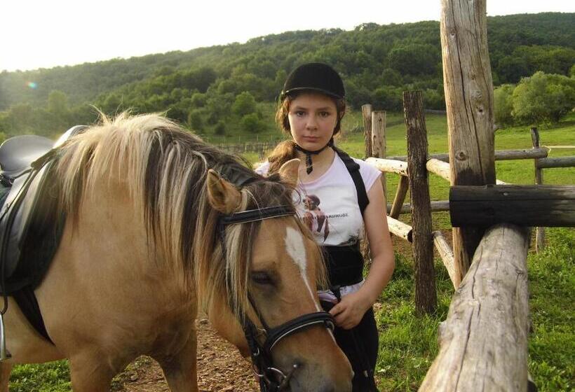 펜션 Szakál Vendégház